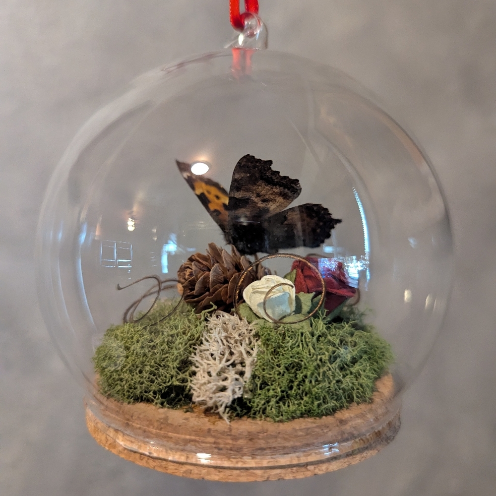 Real Butterfly in Glass Dome